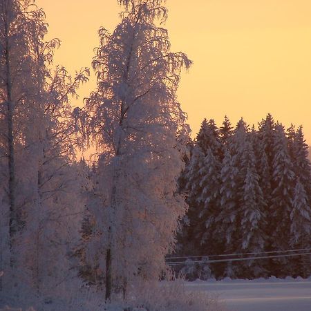 Villa Tiirinkallio Nilsiä Kamer foto