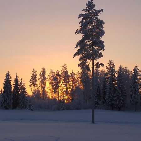 Villa Tiirinkallio Nilsiä Kamer foto
