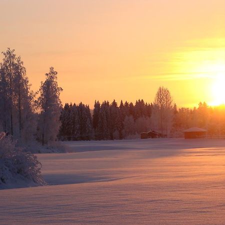 Villa Tiirinkallio Nilsiä Buitenkant foto