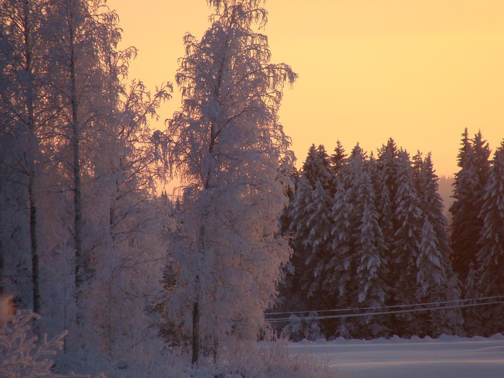 Villa Tiirinkallio Nilsiä Kamer foto