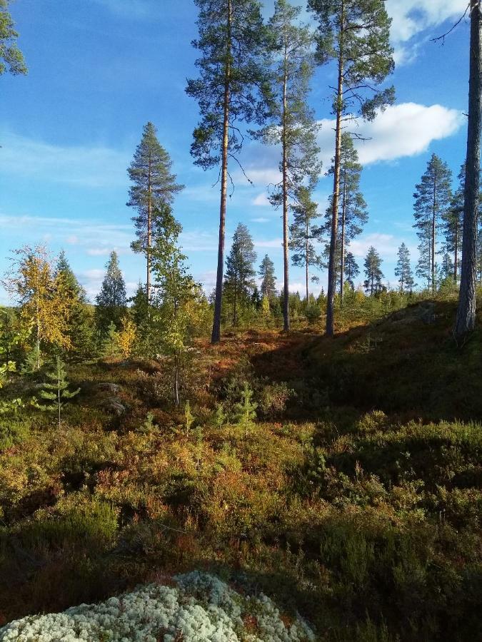 Villa Tiirinkallio Nilsiä Buitenkant foto