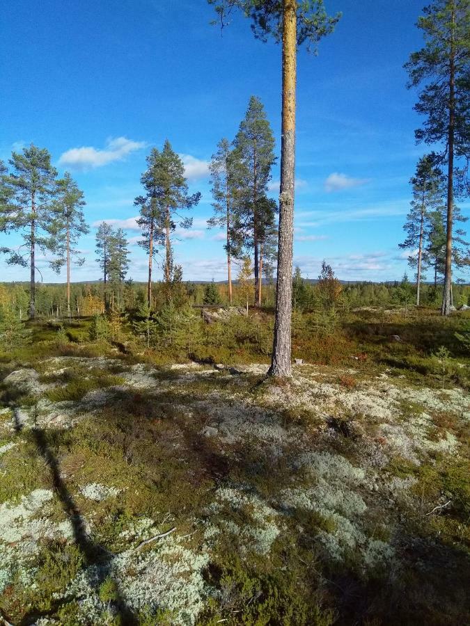 Villa Tiirinkallio Nilsiä Buitenkant foto