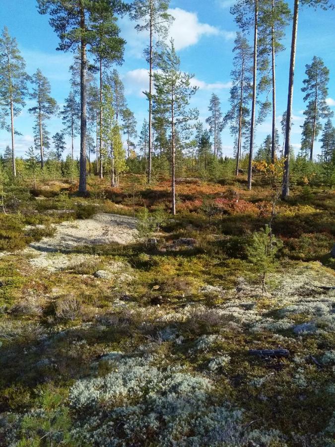 Villa Tiirinkallio Nilsiä Buitenkant foto