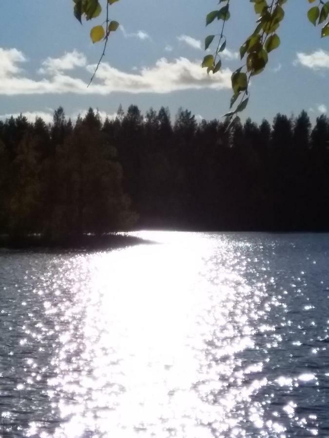Villa Tiirinkallio Nilsiä Buitenkant foto